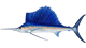 Sailfish