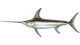 Swordfish