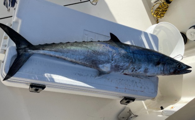 Offshore Fishing Charters Pompano Beach